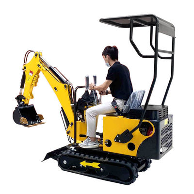 Energie - besparing Mini Diesel Excavator 800kg 12hp met Aangepaste Beschermende Dekking